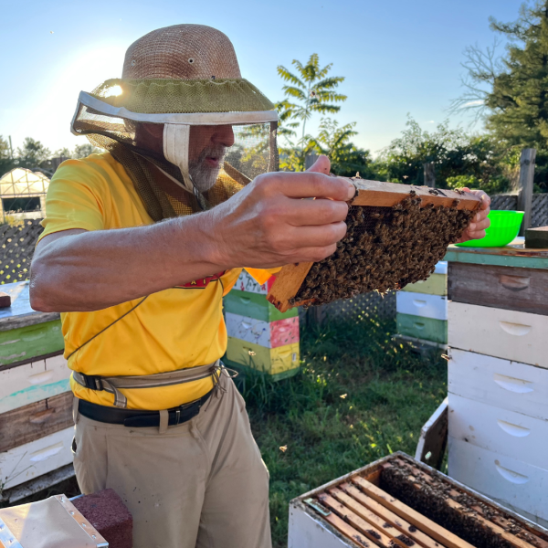 文森特·阿洛约戴着养蜂装备拿着蜂房 